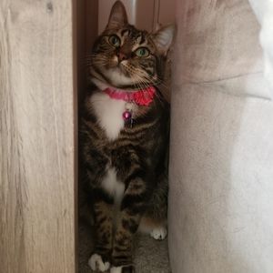 Meet your Posher, Kylee